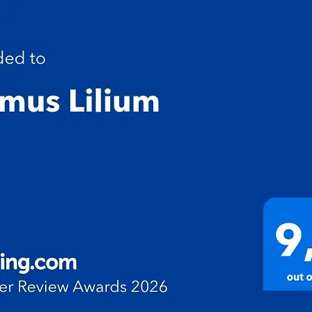 Domus Lilium-3